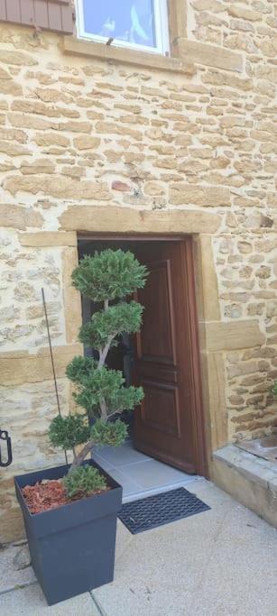 Le Gite Des Pierres Dorees Marcilly-d'Azergues 외부 사진